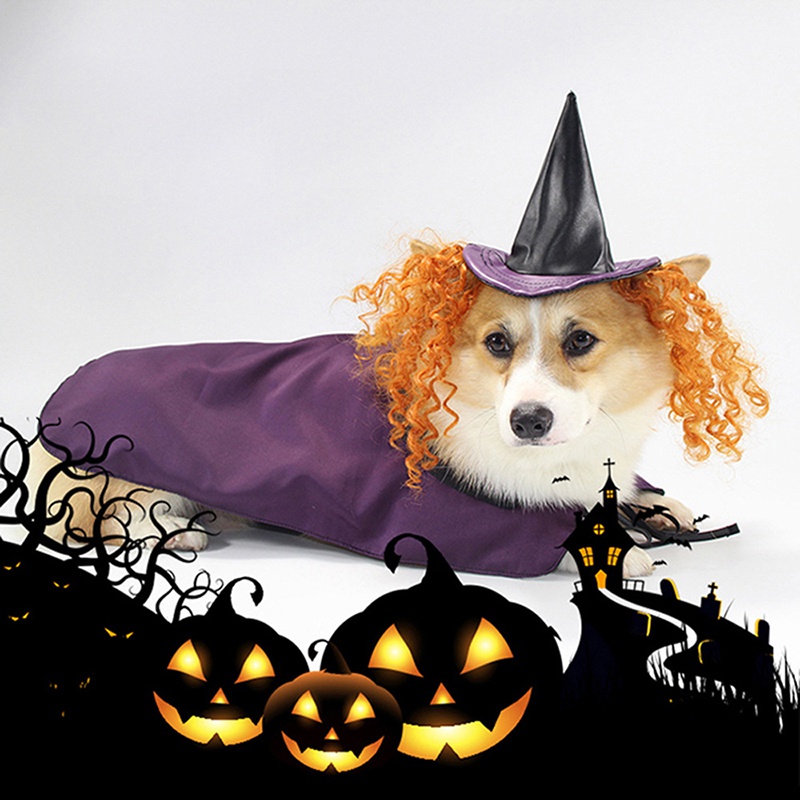 Pet Halloween Wizard Hat and Cloak Pet Costume with Accessories Wig